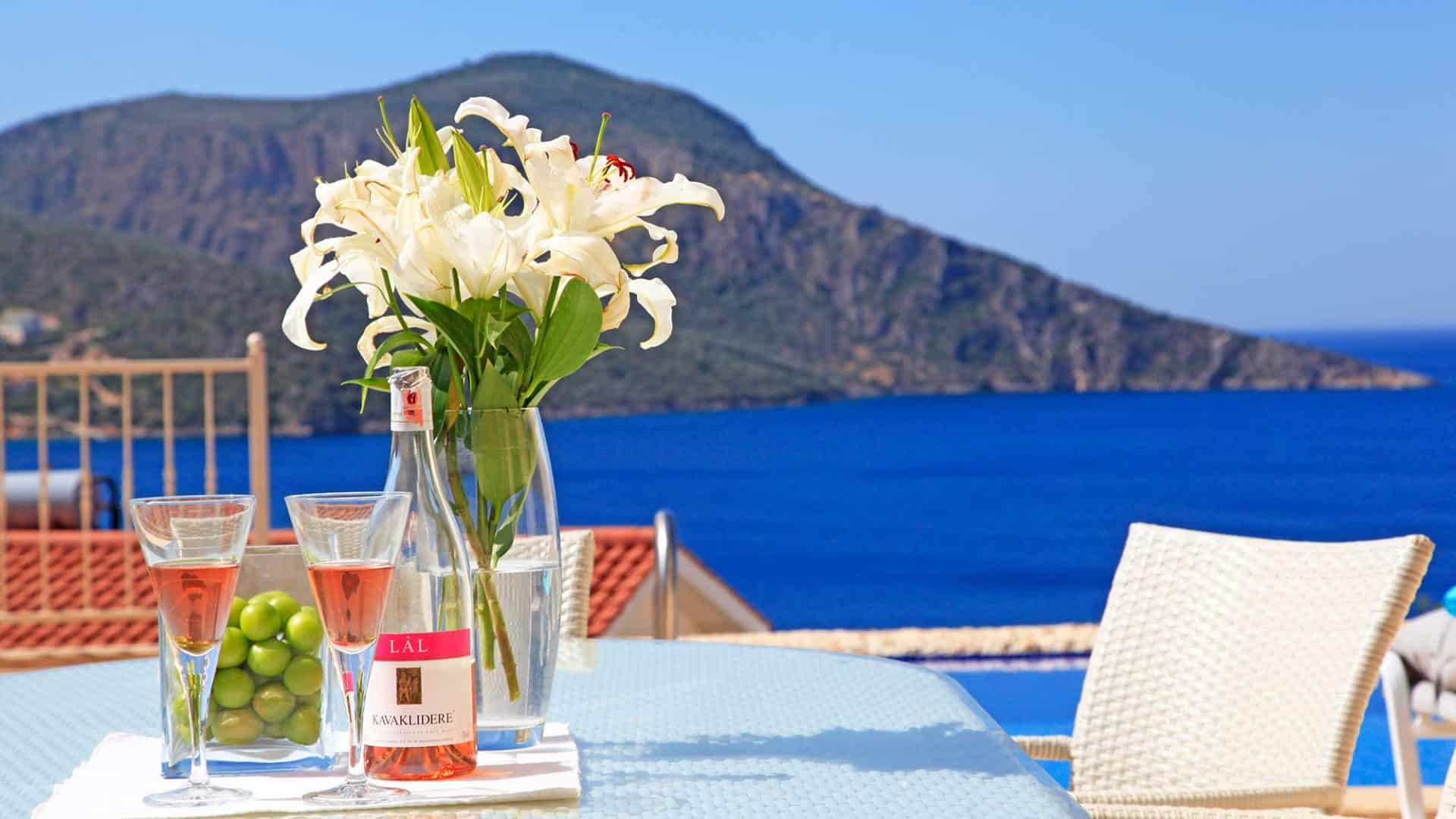 Villa Dionysus - views