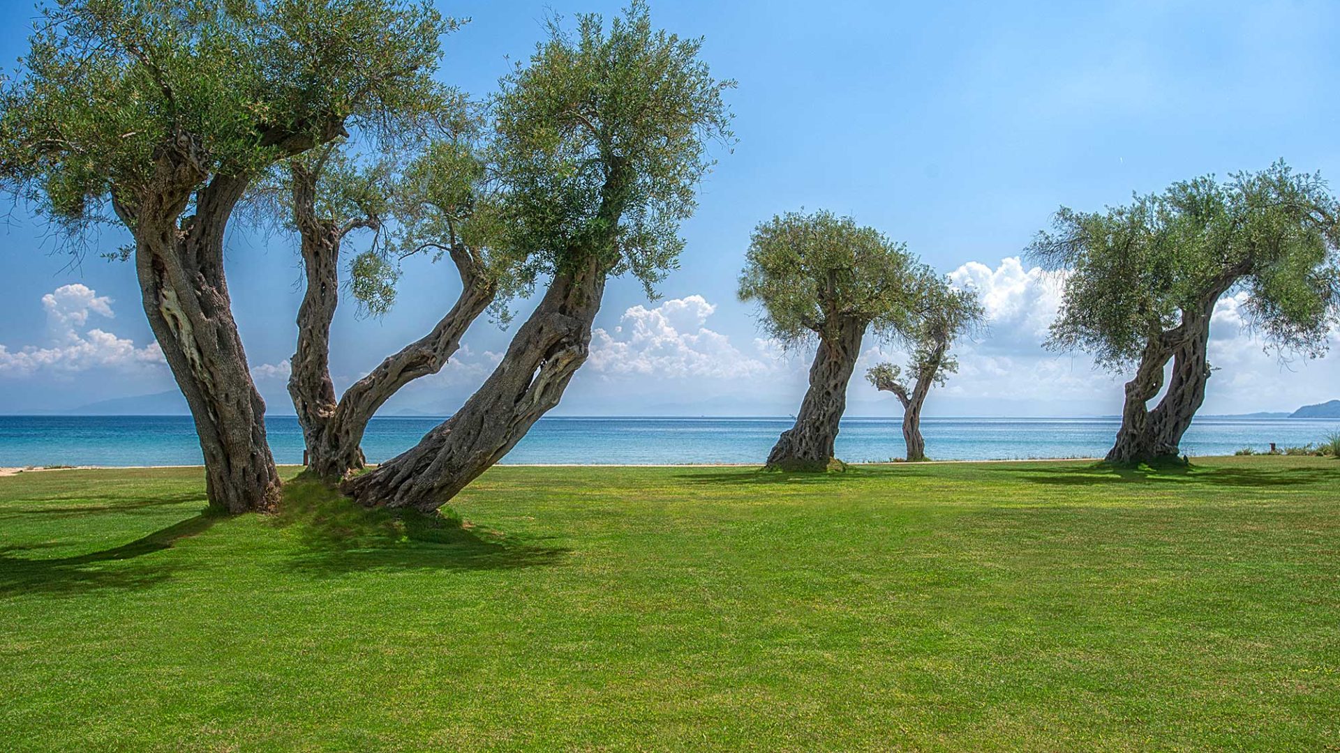 Domes Miramare Olive Grove