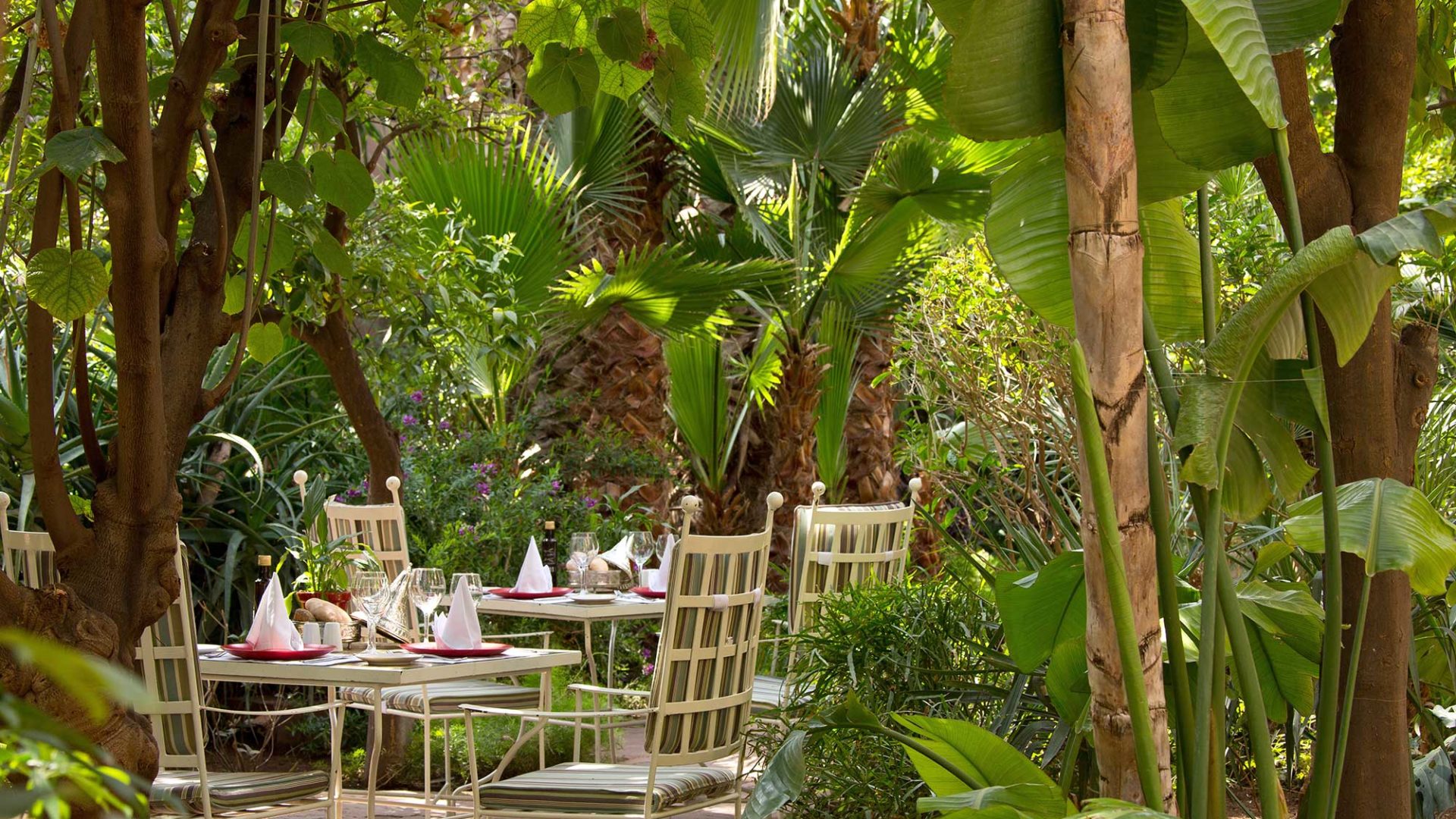 The garden restaurant at Les Jardins de la Medina