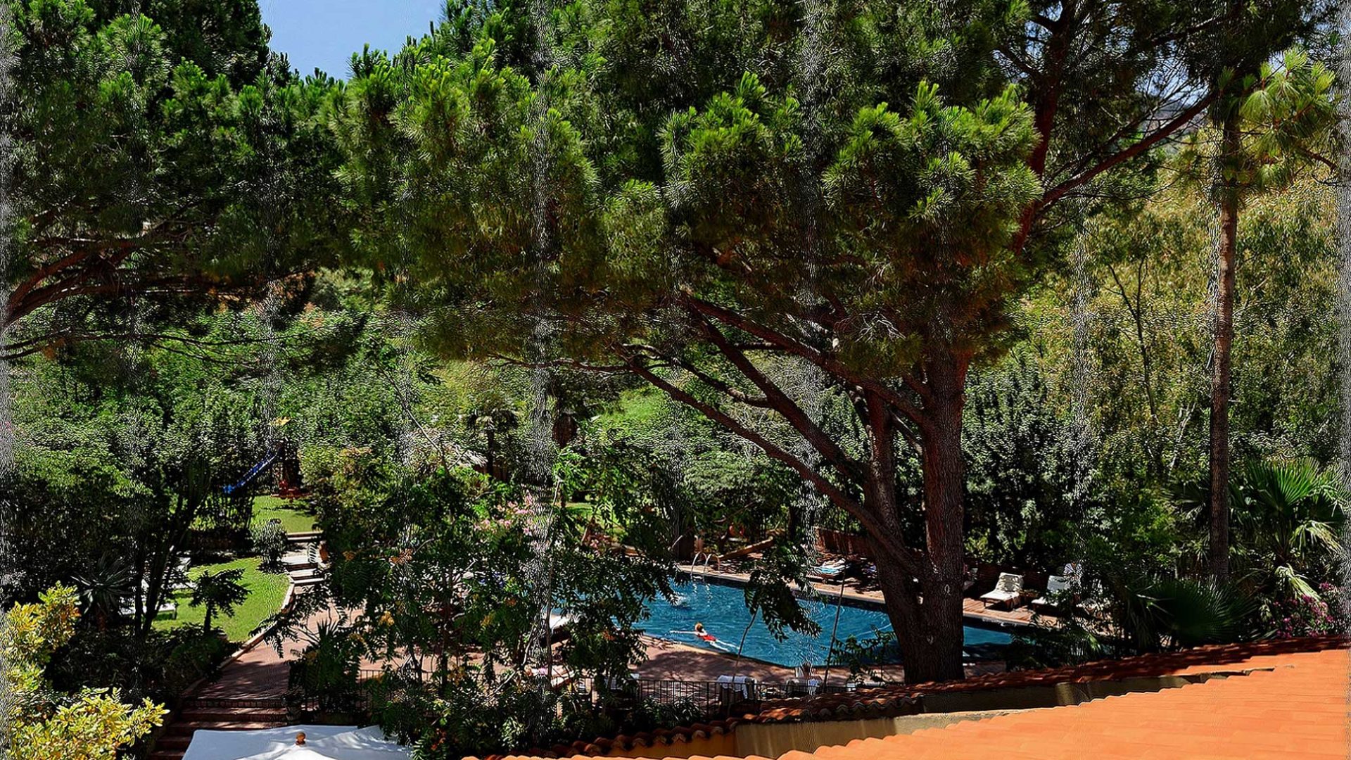 Alberi del Paradiso pool