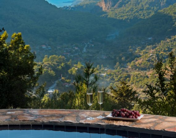 The Pool and magnificent View from Wolfs trail cottage