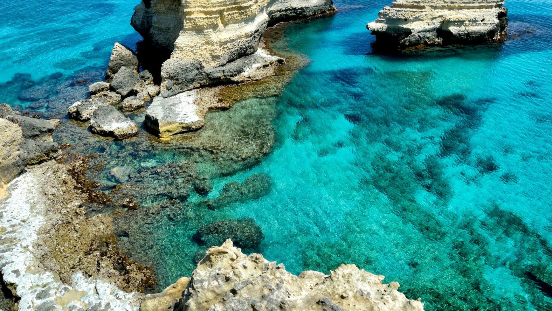 Scogliera di Sant'Andrea (ph Franco Cappellari)