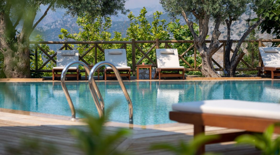 Boho Garden Swimming Pool and Gnarled Olive Trees
