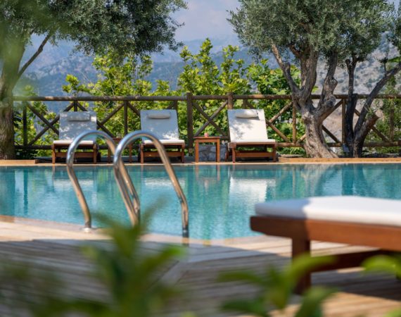 Boho Garden Swimming Pool and Gnarled Olive Trees