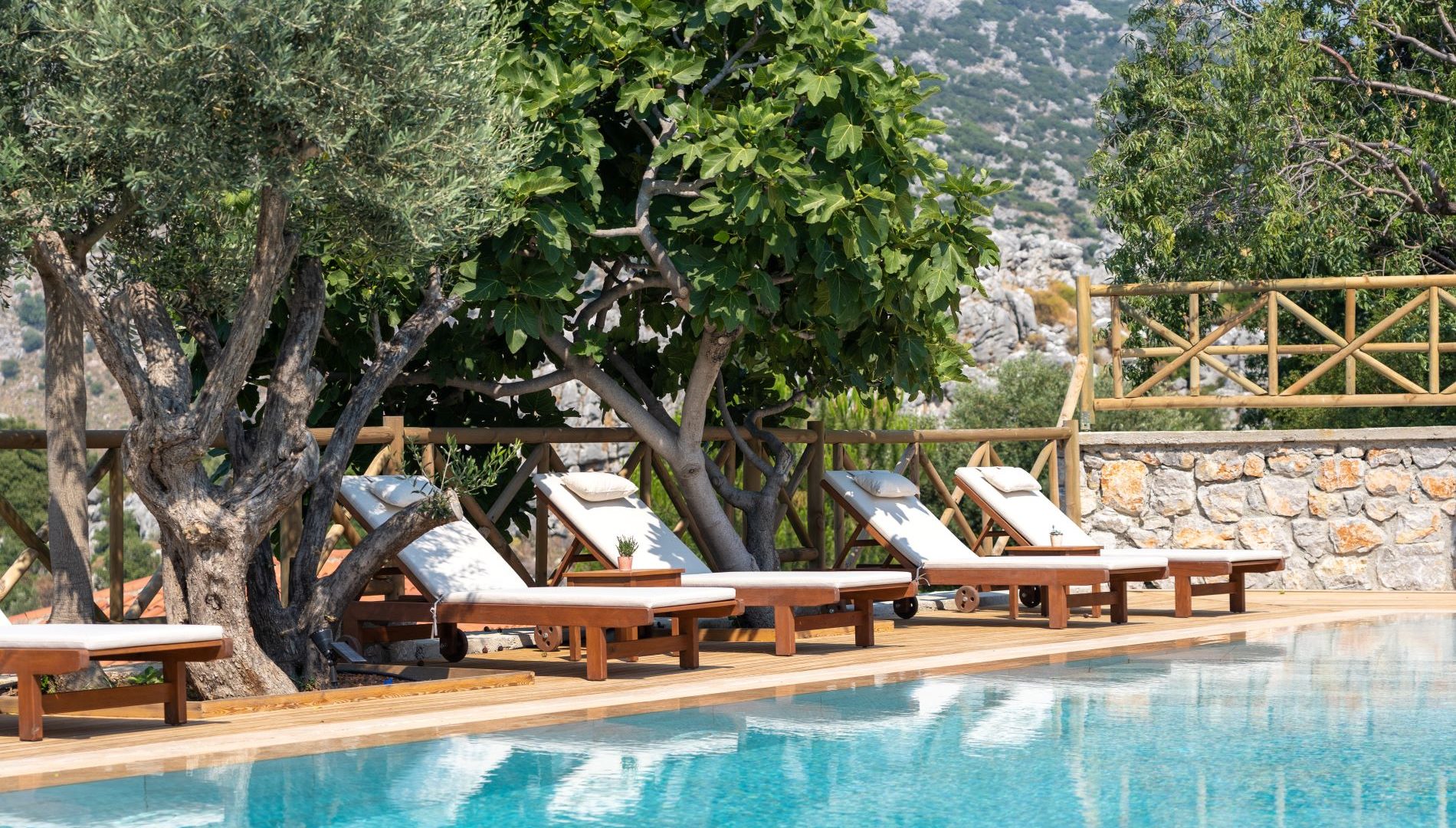 Swimming Pool and trees