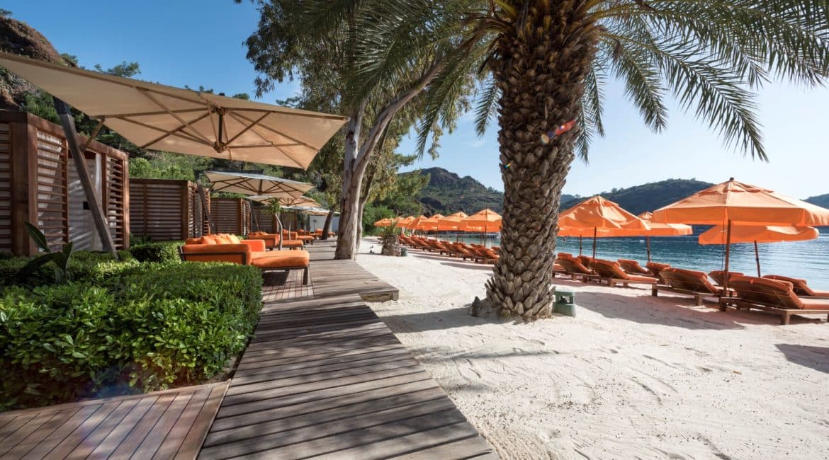 D Mare Beach and Palms