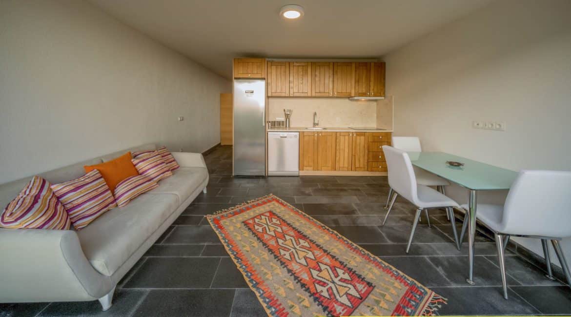 Gokce Pool House open plan living space