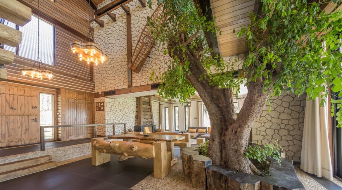 Gokce open plan living space and harnup tree