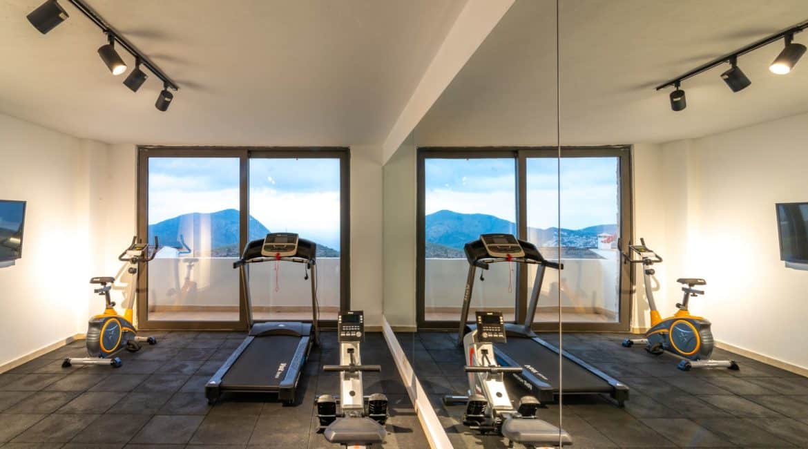 Villa Spectre gym and mountain views