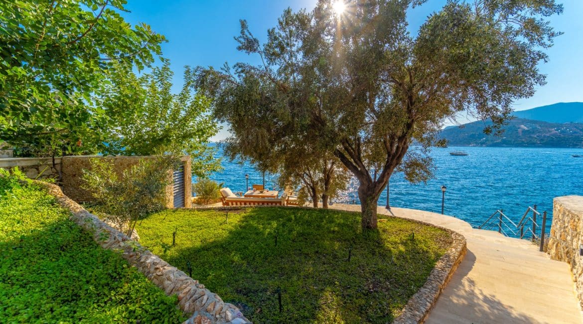 Villa Mavi Deniz manicured lawns and olive trees
