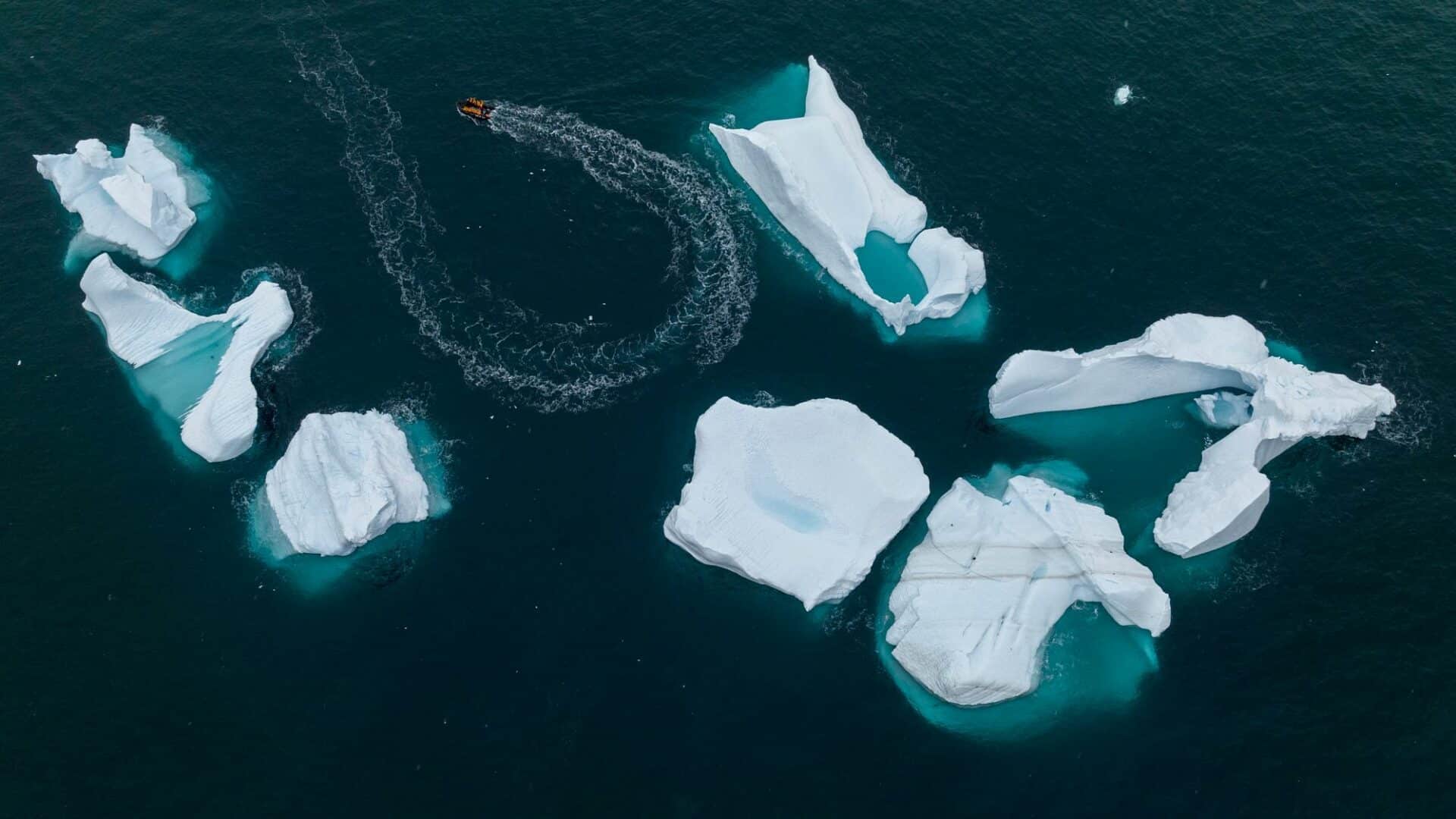 Antarctica Cuverville Zodiac Cruise