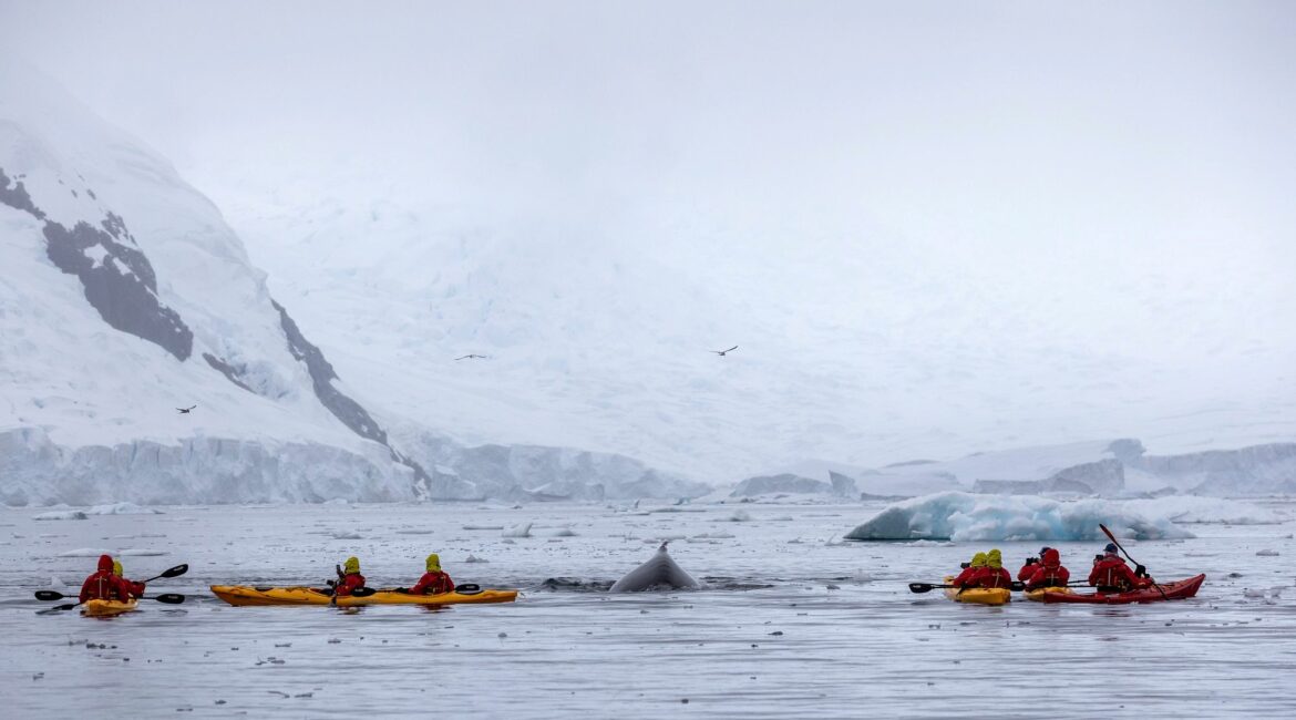Antarctica Paradise Bay Kayaking
