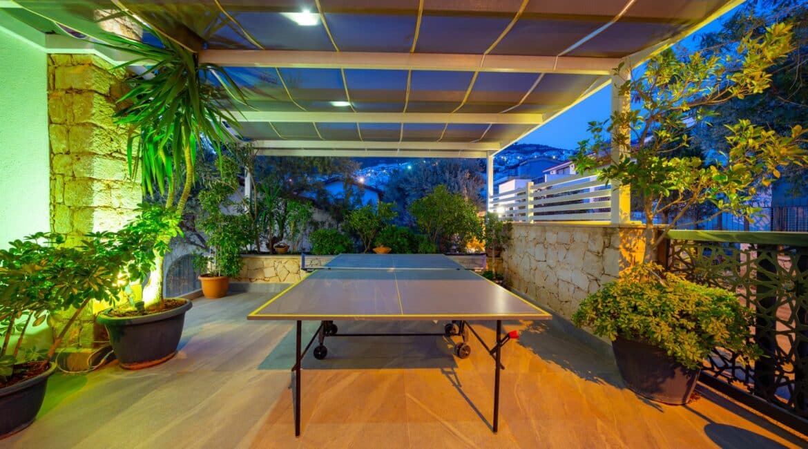 Villa Naz table tennis