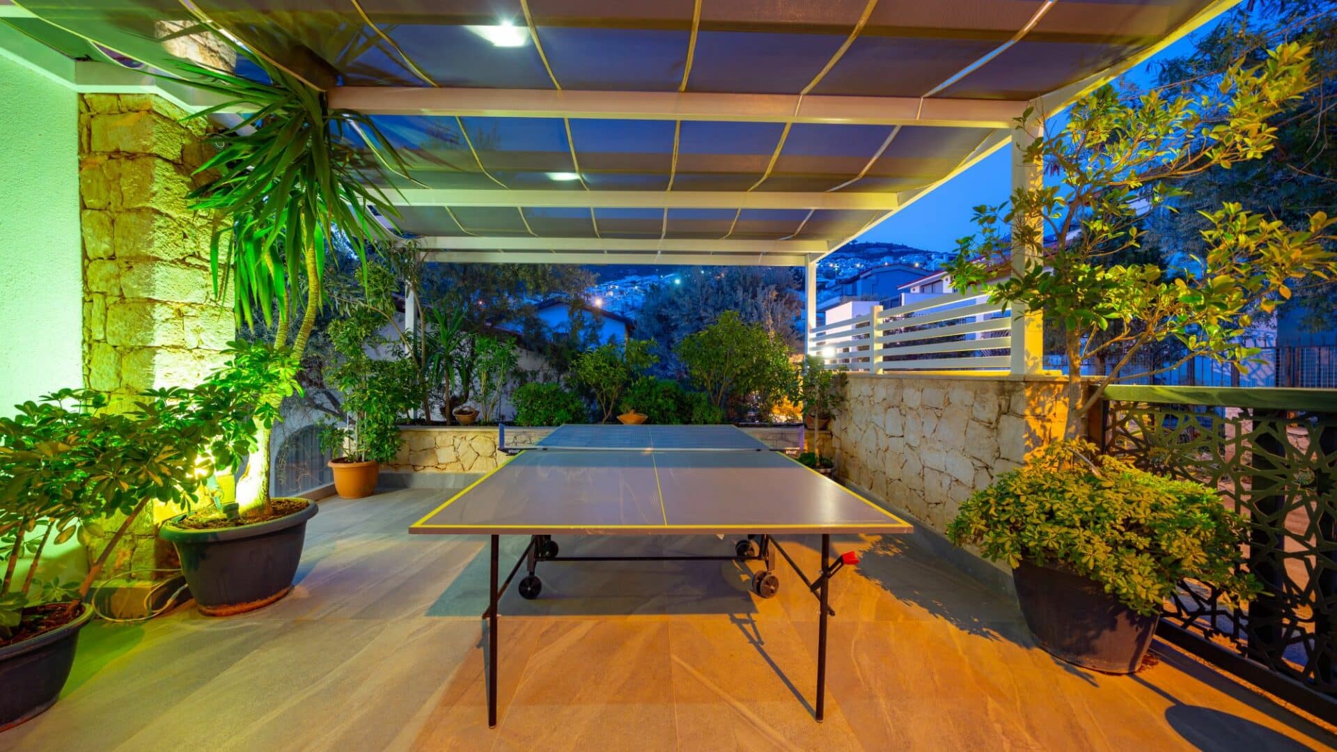 Villa Naz table tennis