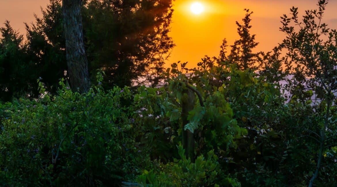 Chalet Vista Garden Sunset views