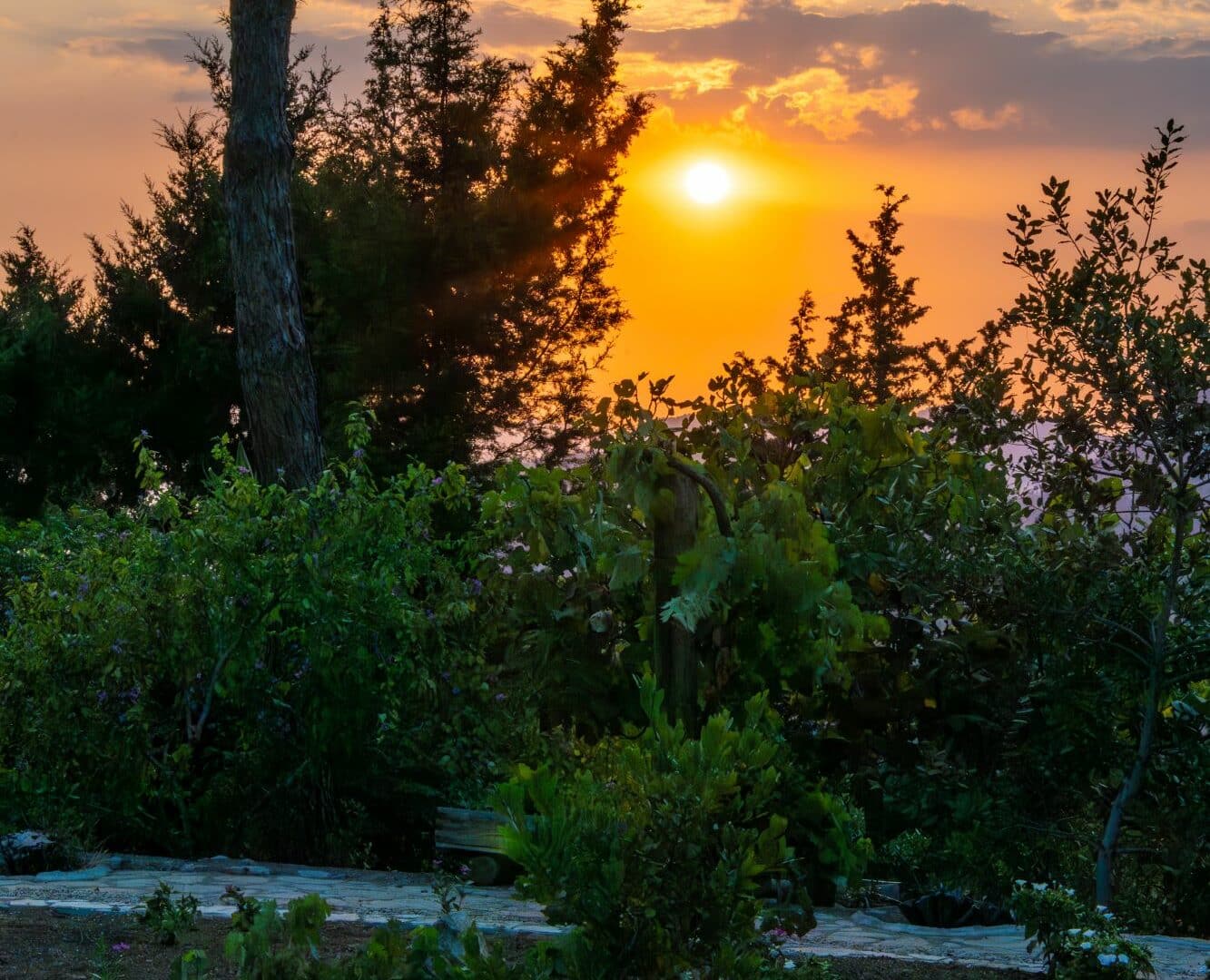 Chalet Vista Garden Sunset views