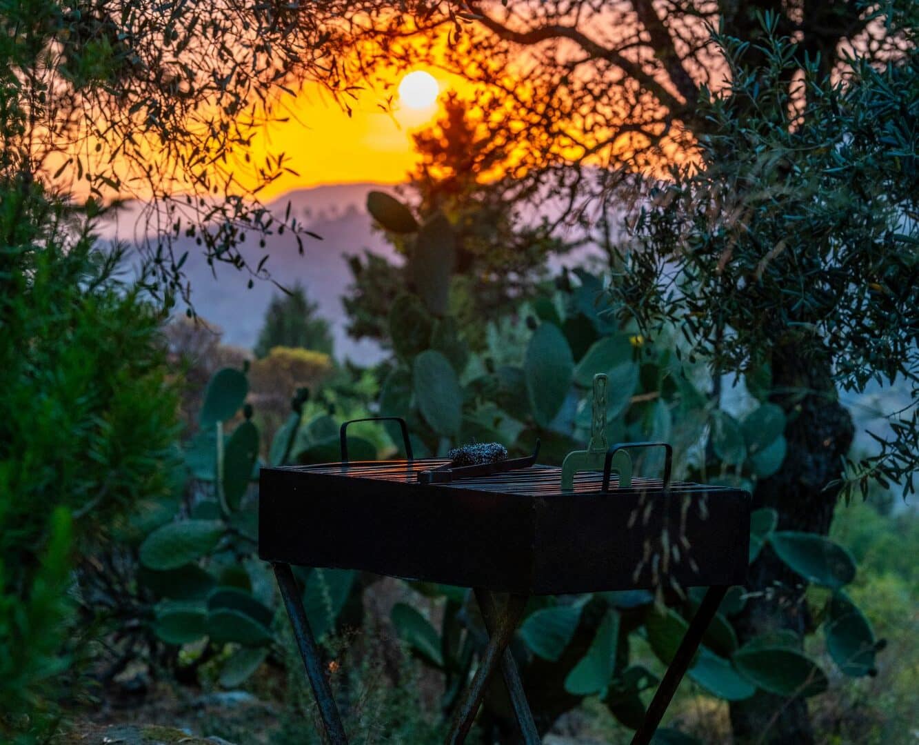 Chalet Vista barbecues at sunset