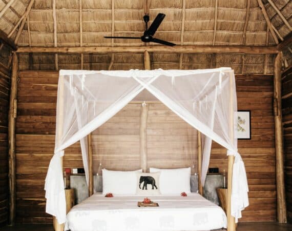 Gal Oya Lodge Family Room – Eco-conscious design blending natural materials with comfort, nestled on the edge of Gal Oya National Park.
