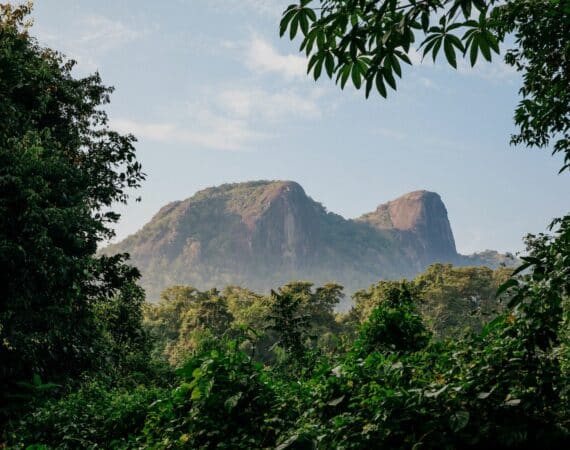 Gal Oya National Park – tranquil skyline view of Monkey Mountain framed by misty hills and untouched wilderness.