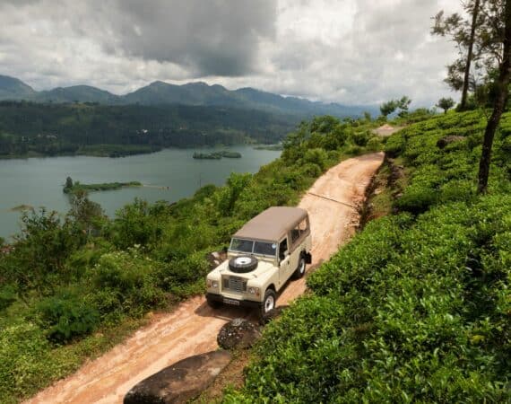 Game Drives