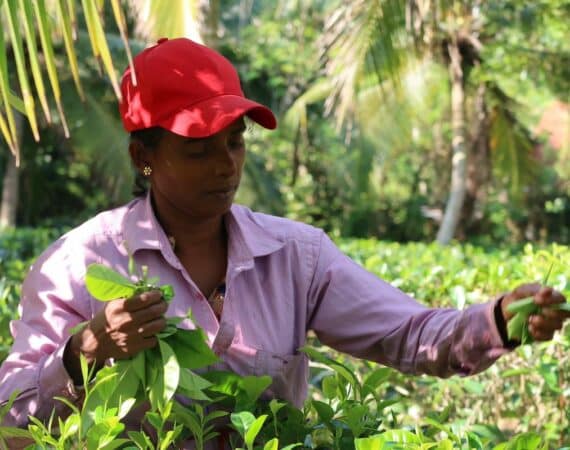 Tekanda Lodge- Meet the team; Lelani - one of our senior tea and estate managers