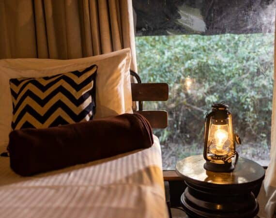 Leopard Trails Deluxe Tent stunning glamping vibes