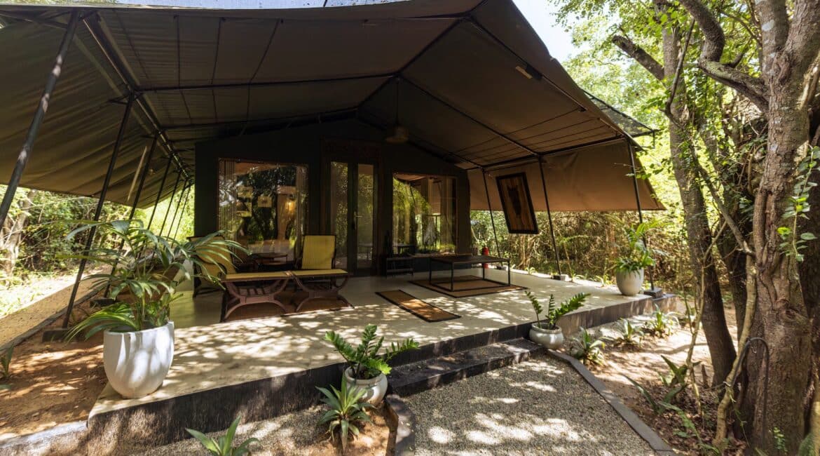 Leopard Trails Glamping Suites at Wilpattu National Park, Sri Lanka – stylish safari tents with elegant exteriors nestled in the wilderness