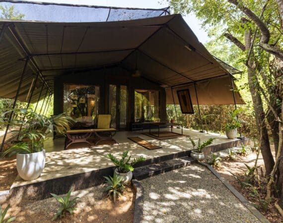Leopard Trails Glamping Suites at Wilpattu National Park, Sri Lanka – stylish safari tents with elegant exteriors nestled in the wilderness