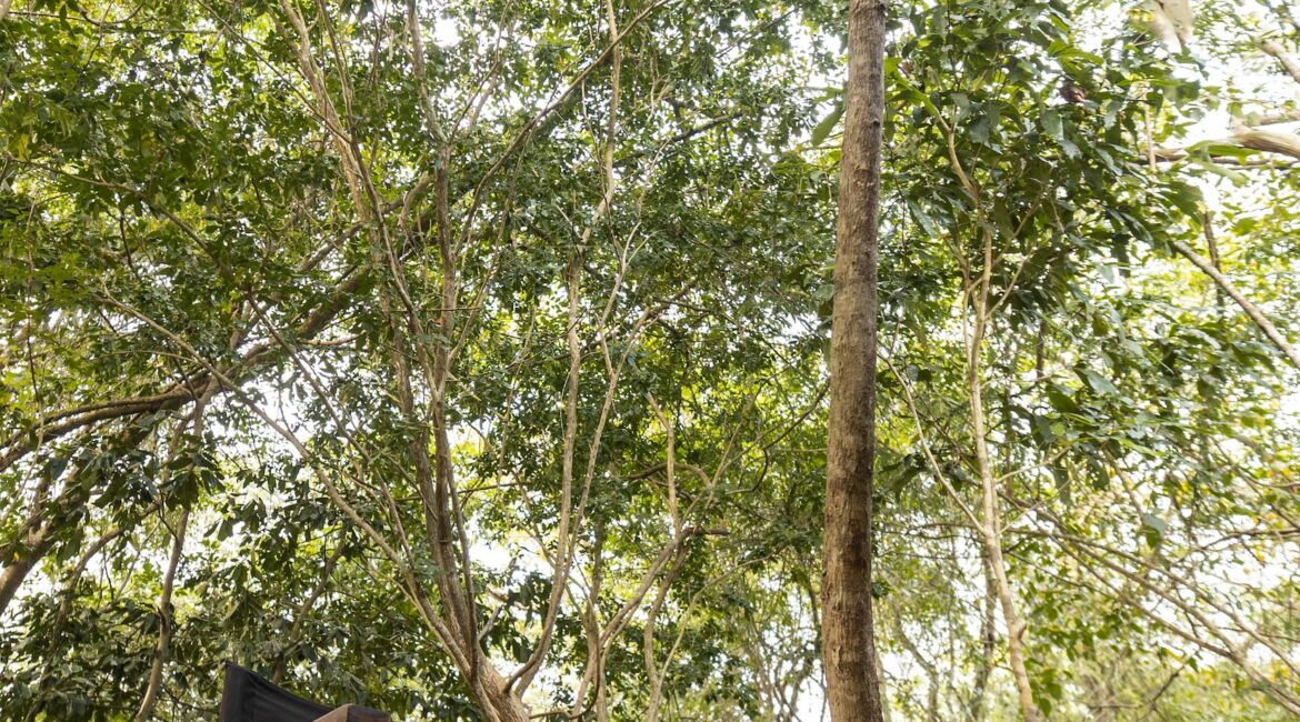 Leopard Trails Wilpattu Camp by day