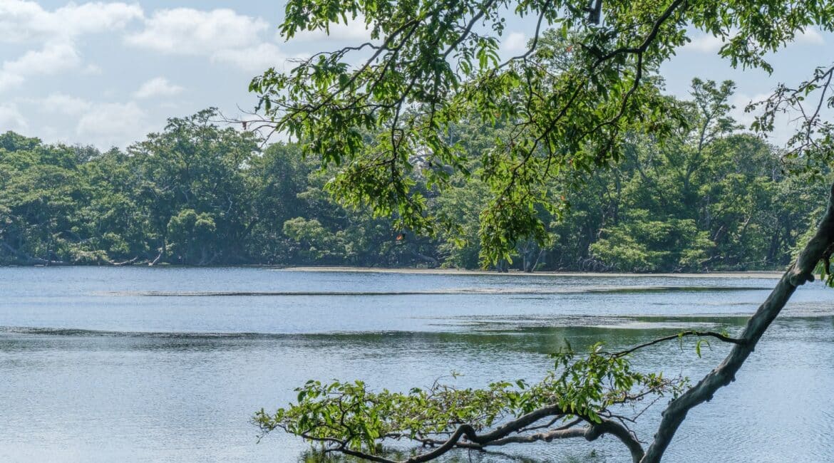 Leopard Trails, Wilpattu National Park – the magnificence of nature captured in sweeping jungle views, tranquil waterholes, and unspoilt wildernes