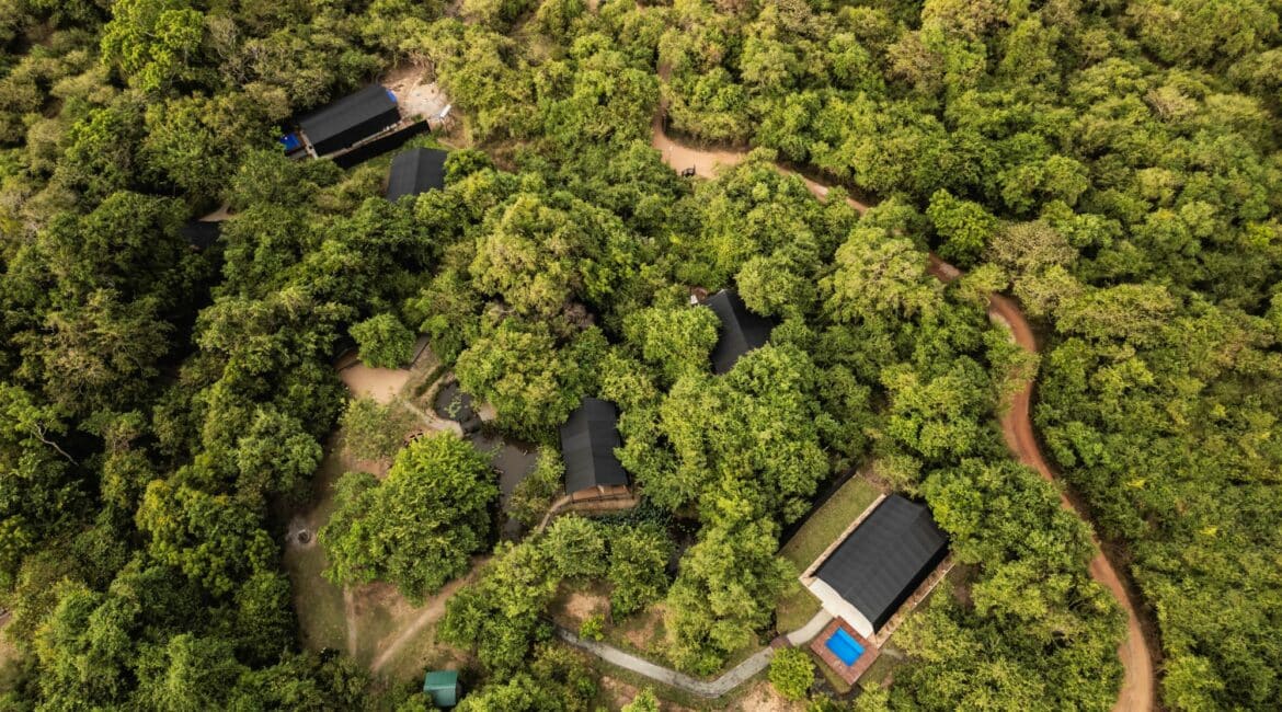 Aerial view of Leopard Trails Plunge Pool Suites at Wilpattu National Park, Sri Lanka, featuring luxury safari tents with private plunge pools set in the heart of the wilderness
