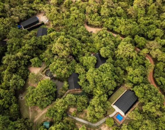 Aerial view of Leopard Trails Plunge Pool Suites at Wilpattu National Park, Sri Lanka, featuring luxury safari tents with private plunge pools set in the heart of the wilderness
