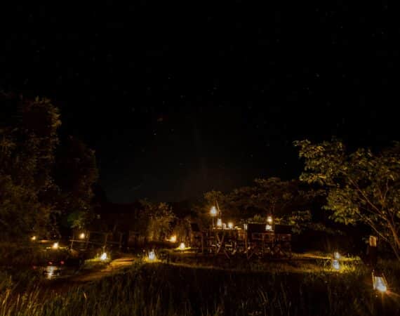 Magical dining experience in the wilderness