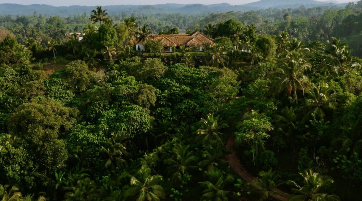 Tekanda Lodge surrounded by the magnificence of nature