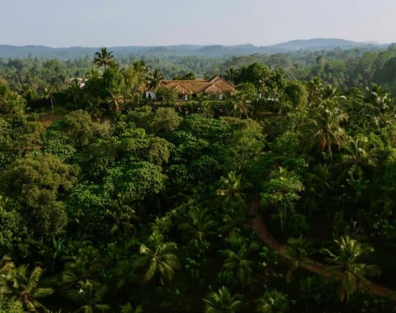Tekanda Lodge surrounded by the magnificence of nature