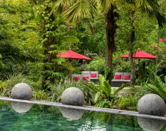 Tranquil swimming pool at The Wallawwa, near Colombo, Sri Lanka – encased by lush greenery, offering serene luxury before or after your island journey.