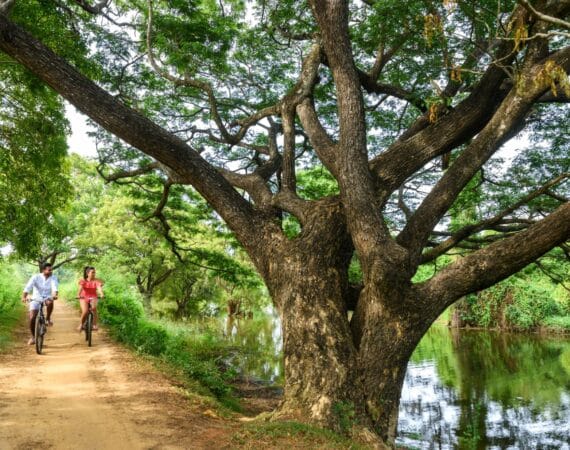 Cycling through the tranquil natural surroundings of Uga Ulagalla – sustainable luxury experience in Sri Lanka’s Cultural Triangle
