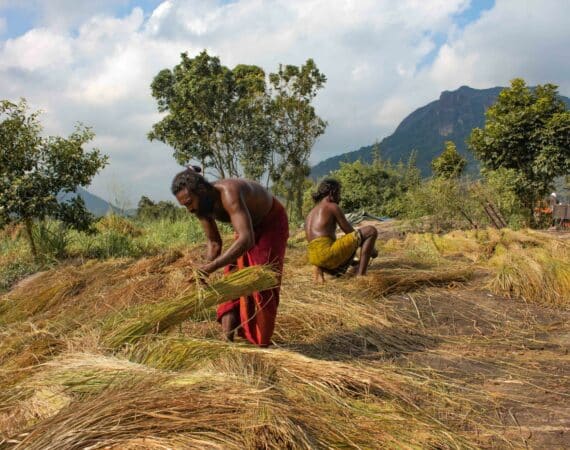 Walk with the Vedda tribe
