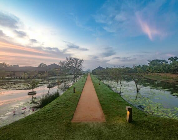 Serene morning light over Water Garden Sigiriya’s tranquil walkways, surrounded by water gardens and lush greenery in Sri Lanka’s Cultural Triangle