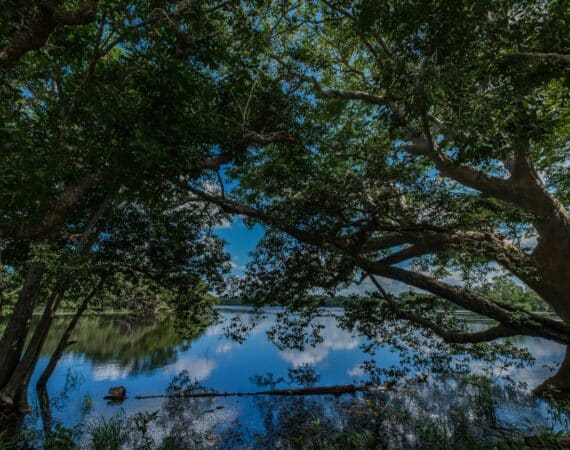 Wilpattu the land of lakes