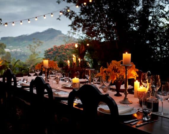 Wonderfully curated private dining experiences