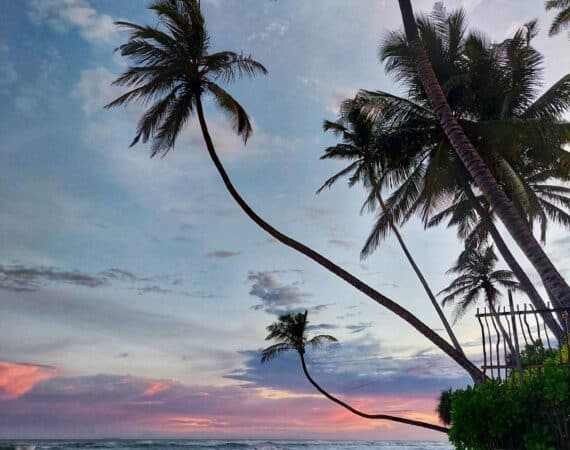 KK Beach, Sri Lanka – palm-fringed shore at sunset with soft pink skies over the sand and sea