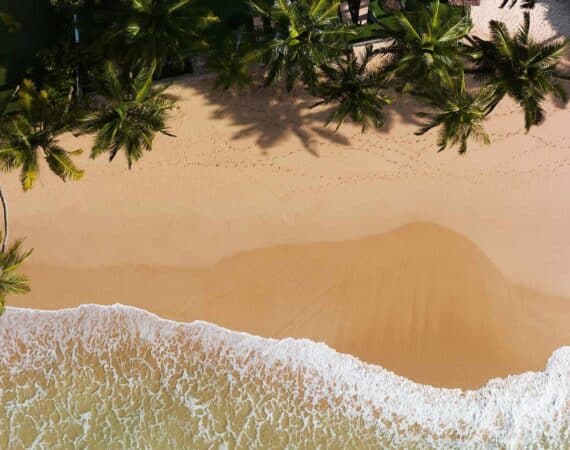 KK Beach, Sri Lanka – aerial view of waves rolling onto the golden shoreline backed by palm trees