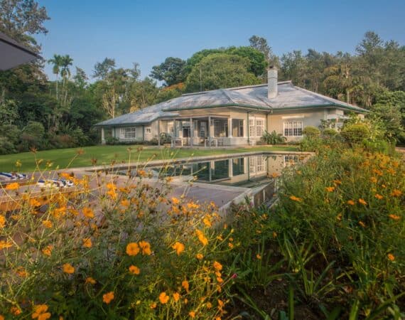Infinity pool at Nine Skies framed by flowering gardens, bungalow, and dense Hill Country foliage