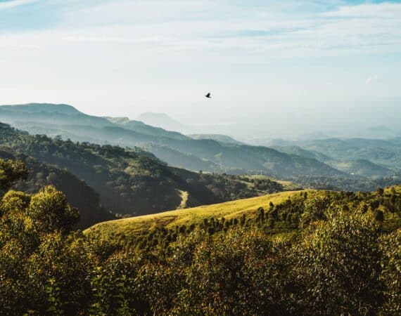 Glorious countryside views from Thotalagala tea bungalow in Sri Lanka’s Hill Country