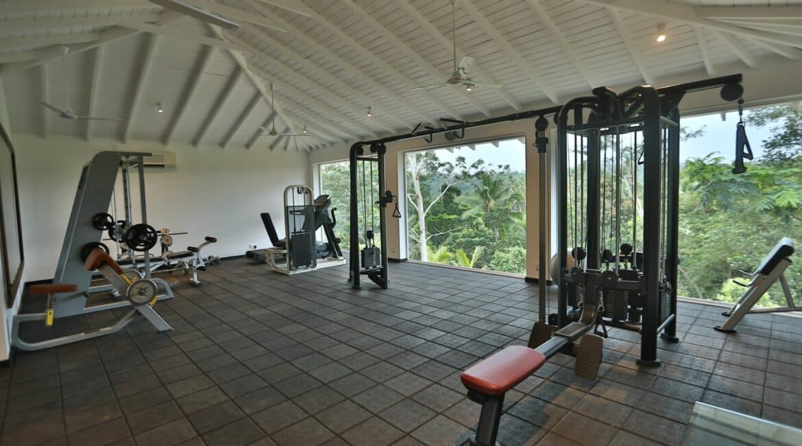 Kahanda Kanda wellness gyn with jungle views