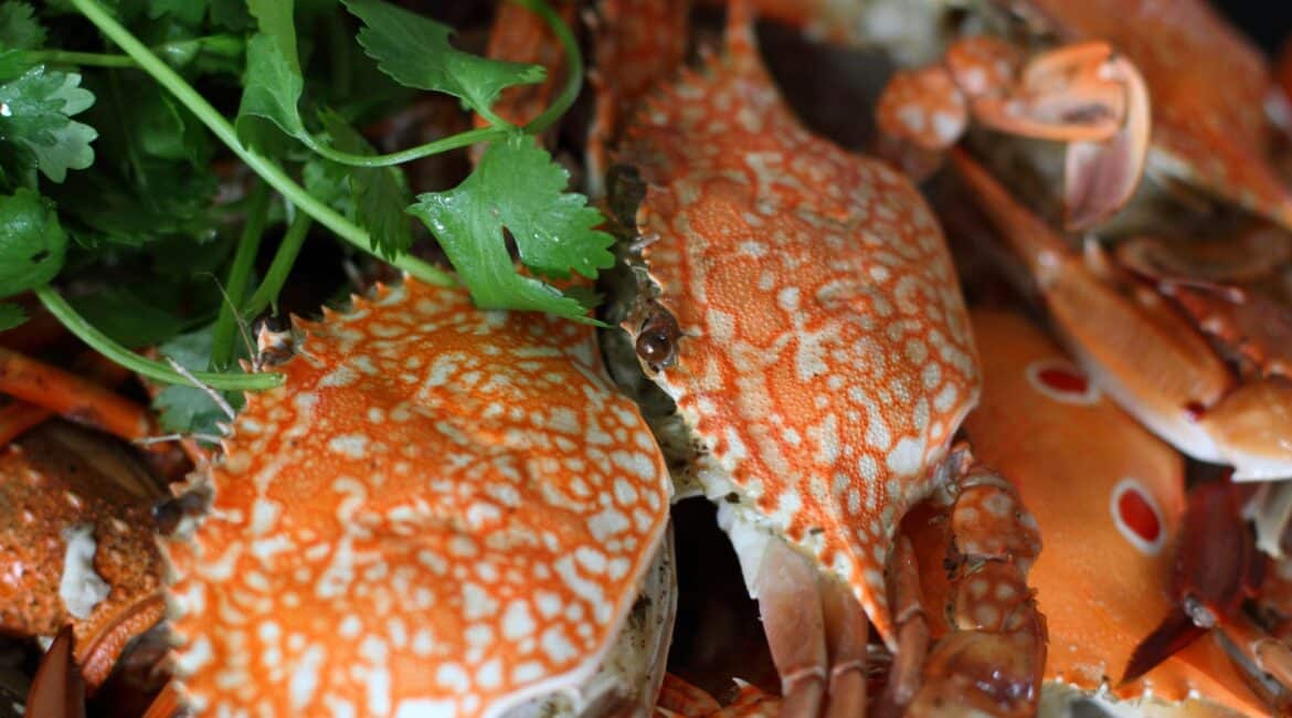 Coco Tangalla Hotel near Tangalle, Sri Lanka – close-up of a beautifully cooked crab dish, showcasing fresh local flavours and elegant presentation.