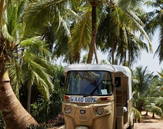 olourful tuk tuks on the streets of Colombo, Sri Lanka – a lively glimpse of local life in the island’s vibrant west coast capital.