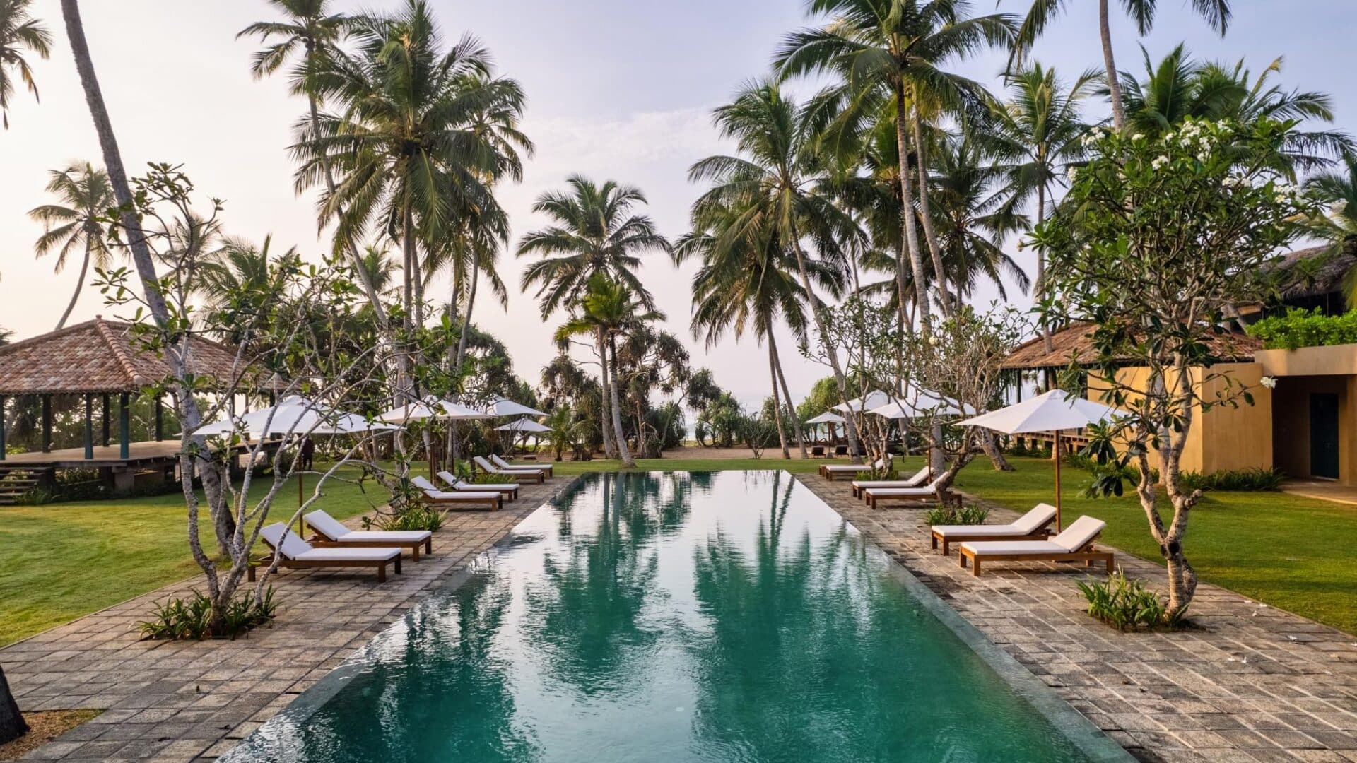 Kayaam House Sri Lanka – stunning swimming pool fringed by gnarled weeping palms and lush greenery.