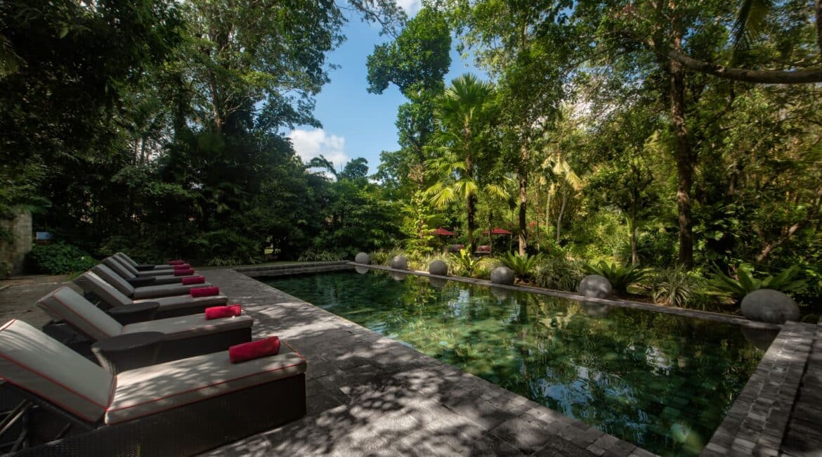 The Wallawwa glorious swimming pool and dappled gardens and day beds